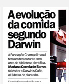 Foto nº 4